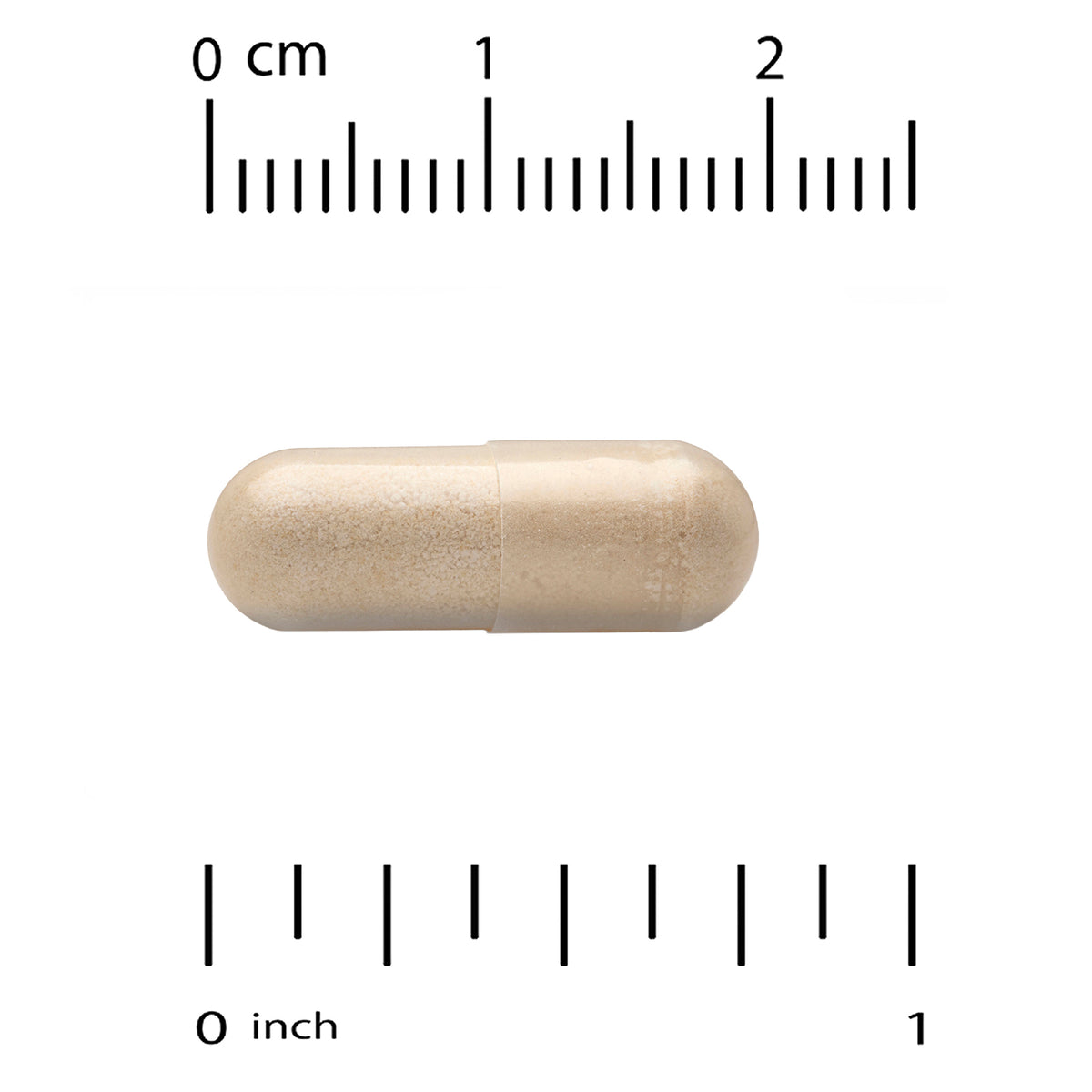 NOW Milk Thistle Extract 300 mg 200 Capsules