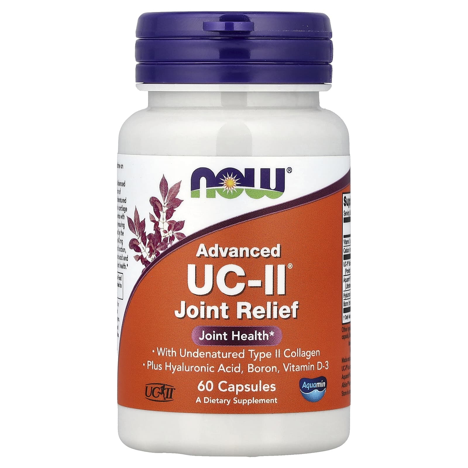 NOW Advanced UC-II Joint Relief 60 Capsules