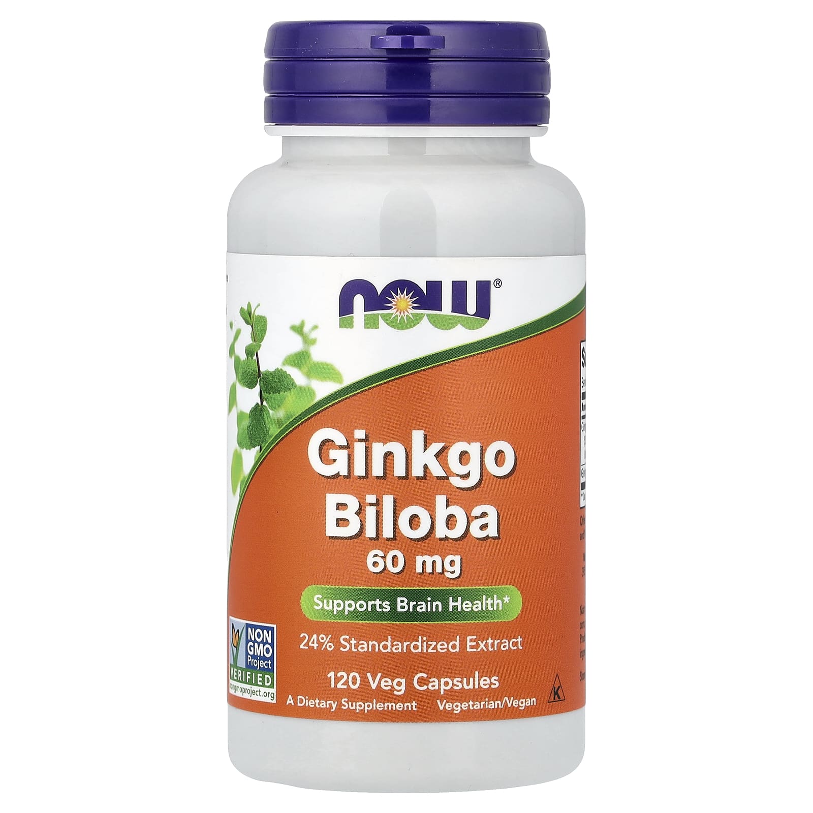 NOW Ginkgo Biloba 60 mg 120 Capsules
