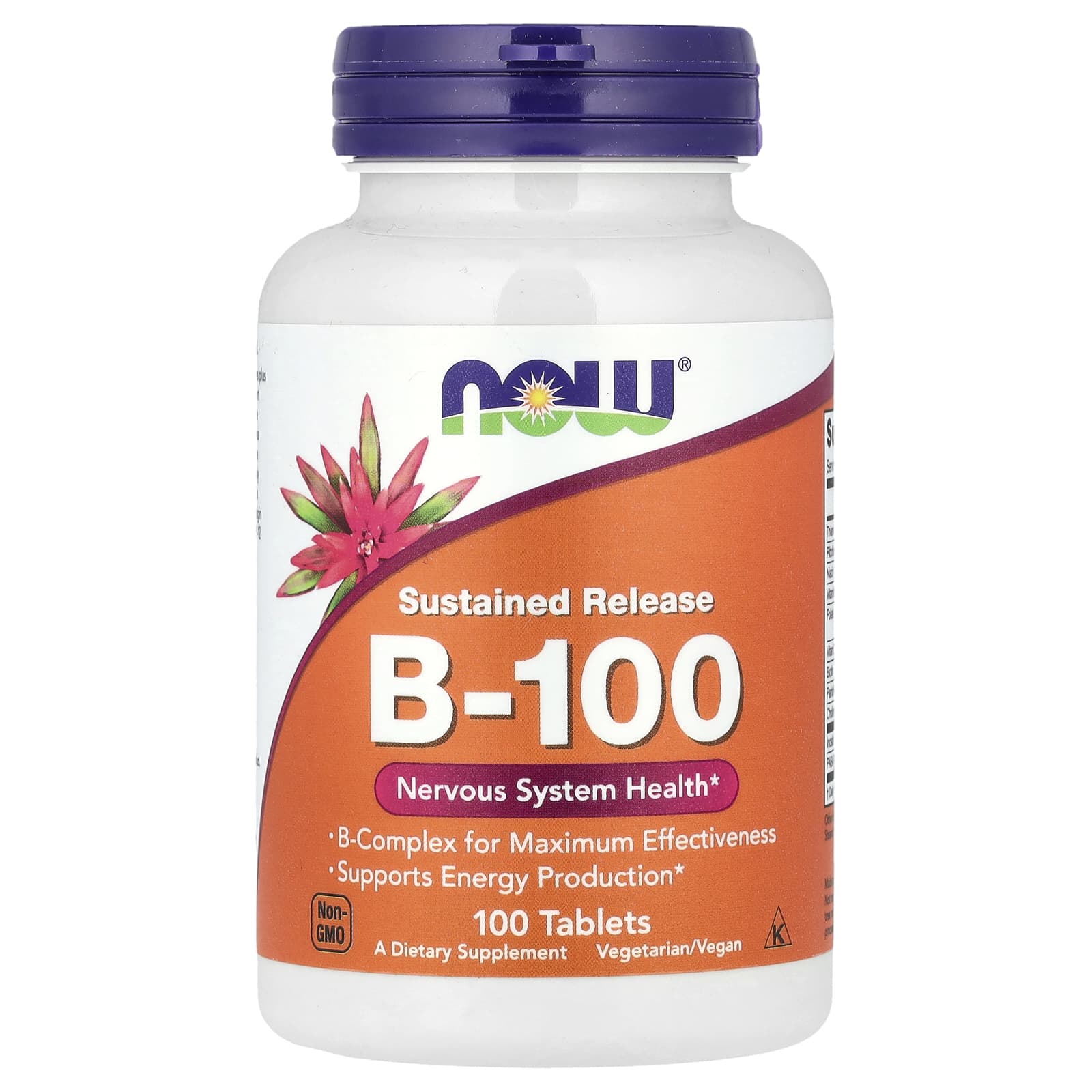 NOW Sustained Release B-100 100 Tablets