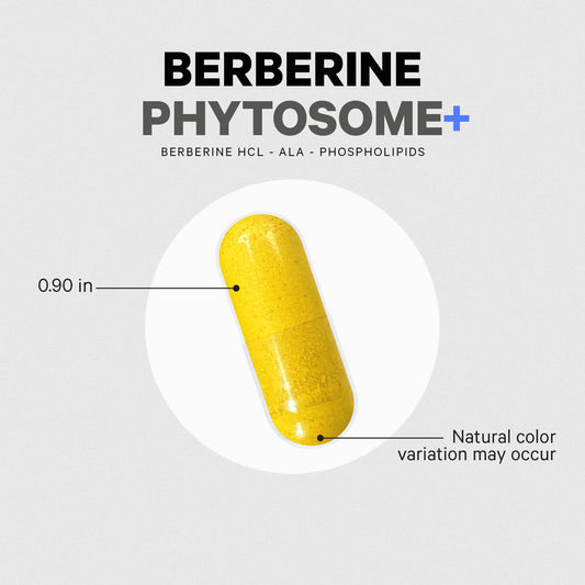 Codeage Berberine Phytosome+ 60 Capsules