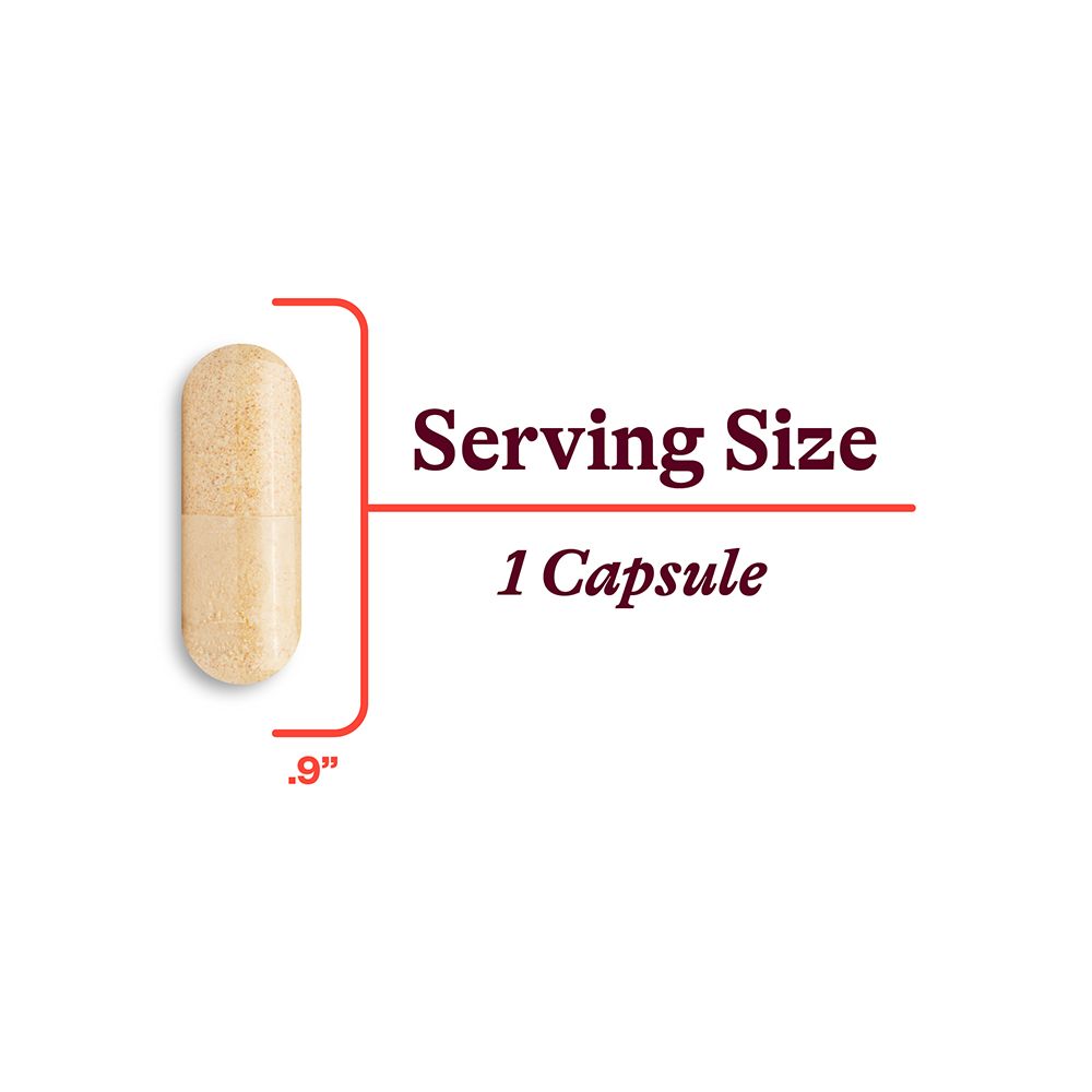 Seeking Health B Complex Plus With Choline 100 Capsules